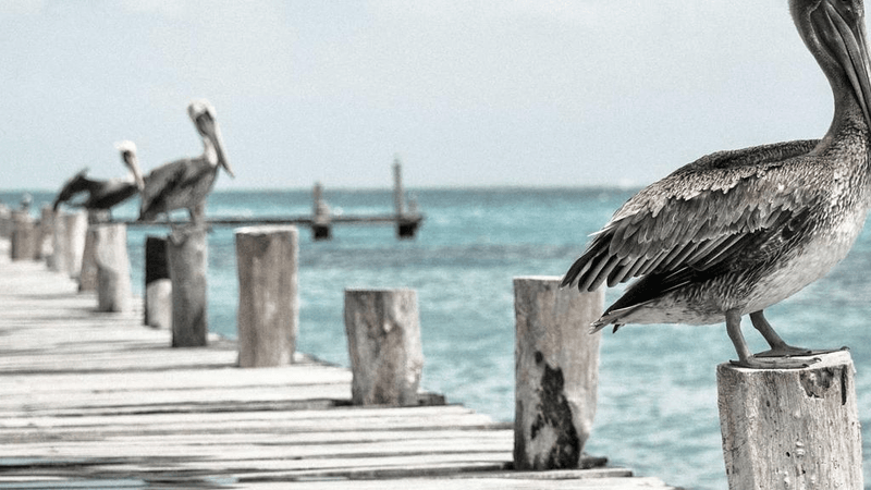 Drill - professional stock photography