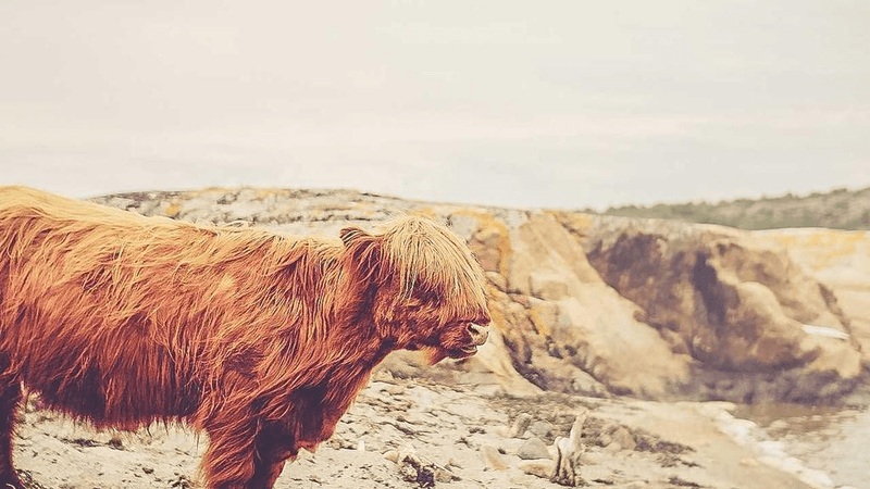 Fabric - professional stock photography