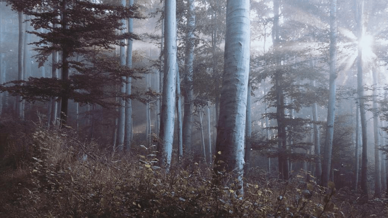 Glue - professional stock photography