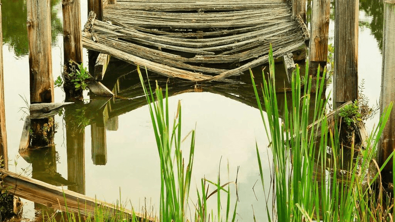 Glue - professional stock photography