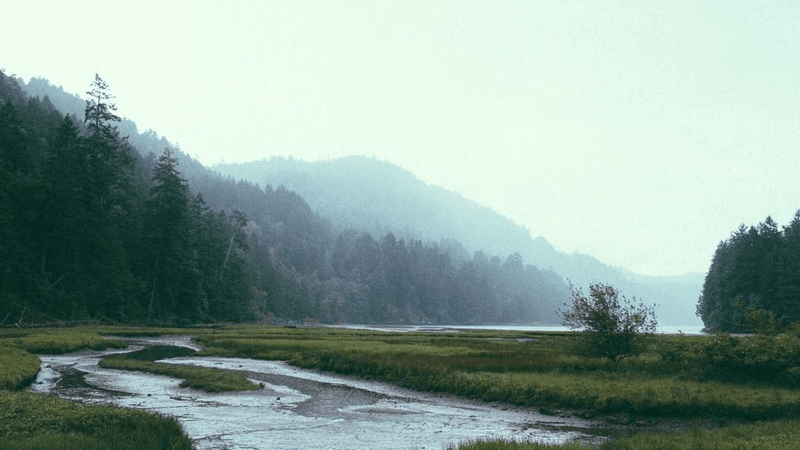 Glue - professional stock photography