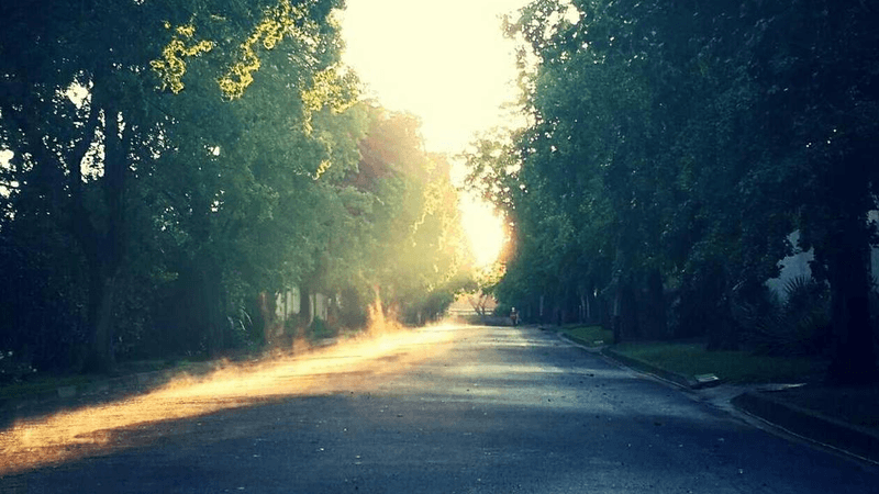 Hammer - professional stock photography