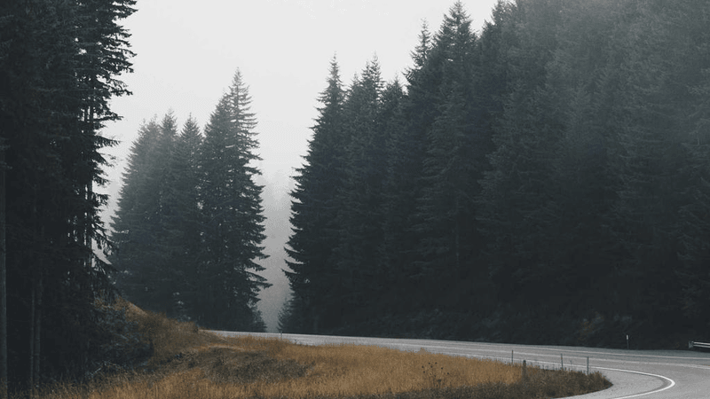 Hammer - professional stock photography