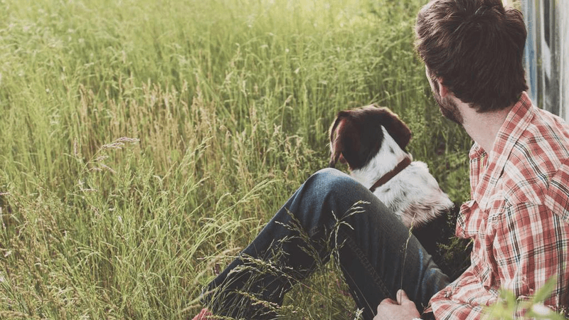 Hammer - professional stock photography