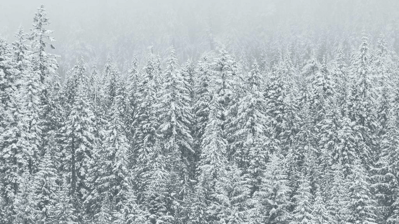 Knitting - professional stock photography