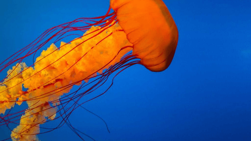 Measure - professional stock photography