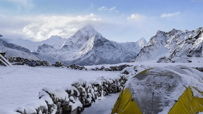 Nails - professional stock photography