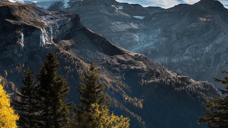 Nails - professional stock photography