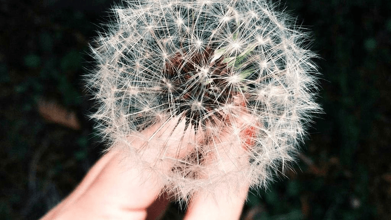 Nails - professional stock photography