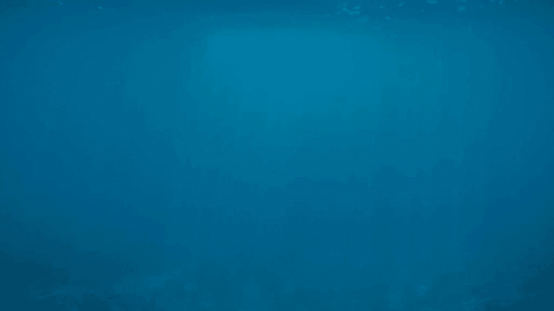 Painting - professional stock photography