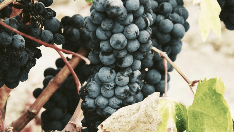 Painting - professional stock photography