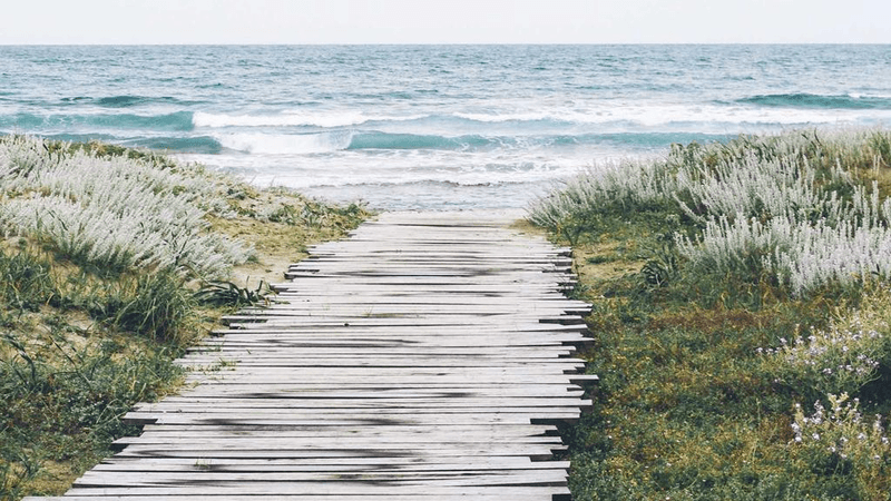 Plywood - professional stock photography