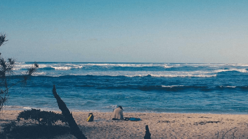 Plywood - professional stock photography