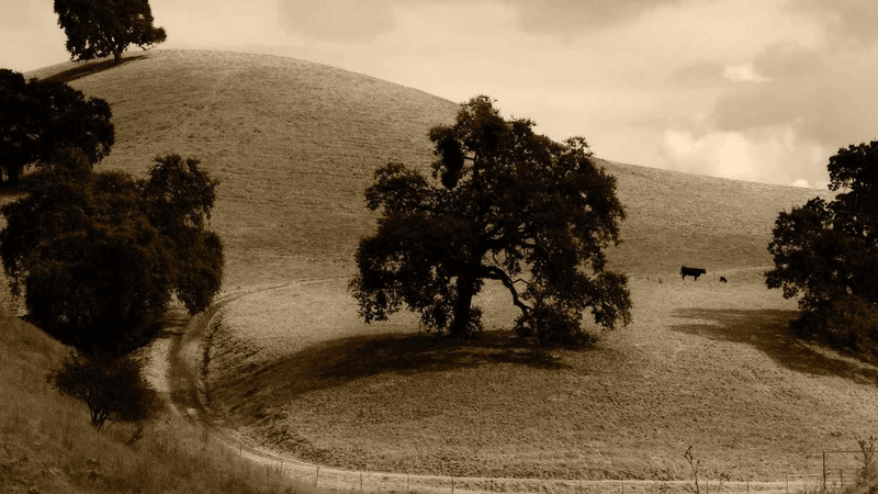 Sand - professional stock photography