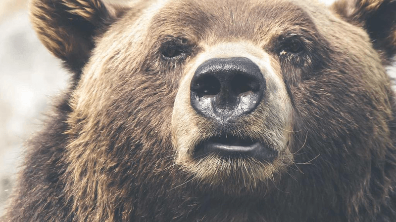 Sand - professional stock photography