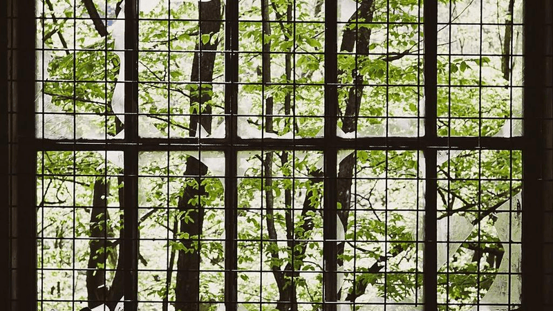 Saw - professional stock photography