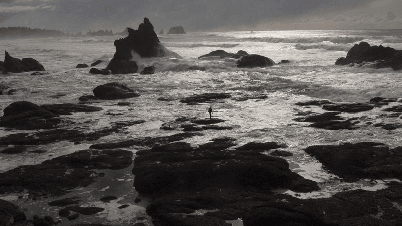 Tape - professional stock photography