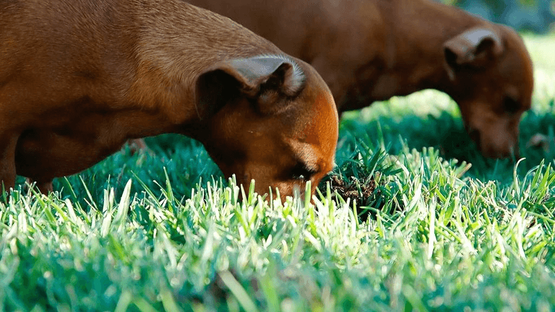 Tape - professional stock photography